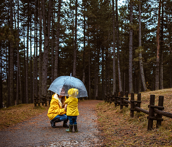 California Umbrella Insurance Coverage